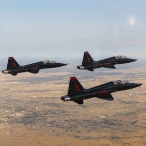 Beale AFB USAF T-38 Talon Demo