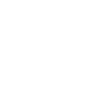 Blackbird Flight Wear Light Logo